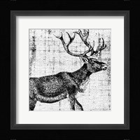 Northwest Territory III Fine Art Print