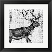 Northwest Territory III Fine Art Print