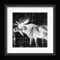 Northwest Territory IV Fine Art Print