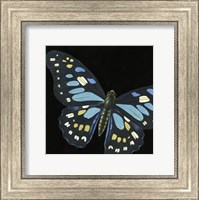 Small Dramatic Butterflies II Fine Art Print
