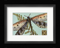 Dragonfly on Aqua III Fine Art Print
