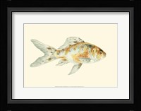 Speckled Goldfish Fine Art Print