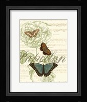 Papillon Melange II Fine Art Print