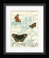 Papillon Melange III Fine Art Print