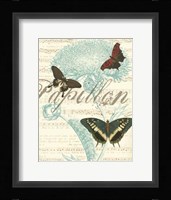Papillon Melange IV Fine Art Print