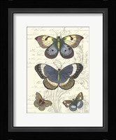 Butterfly Delight I Fine Art Print