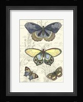 Butterfly Delight II Fine Art Print