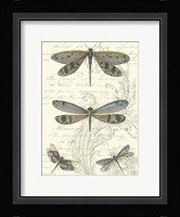 Dragonfly Delight I Fine Art Print