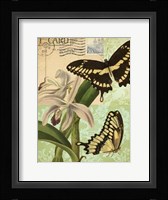 Nature's Tapestry II Fine Art Print