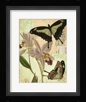 Nature's Tapestry III Fine Art Print