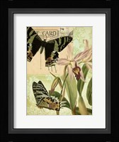 Nature's Tapestry IV Fine Art Print