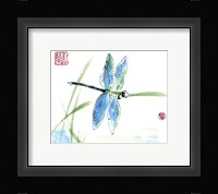 Dragonfly Fine Art Print