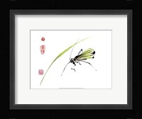 Grasshopper Fine Art Print