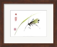 Grasshopper Fine Art Print