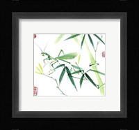 Mantis Fine Art Print