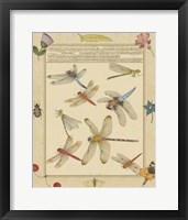 Dragonfly Manuscript IV Fine Art Print