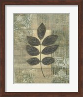 Leaf Textures II Fine Art Print