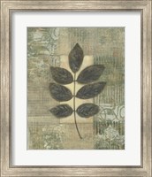 Leaf Textures II Fine Art Print