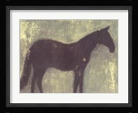 Grey Horse Fine Art Print