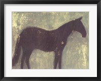Grey Horse Fine Art Print