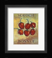 Scotch Bonnet Framed Print