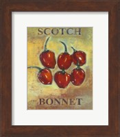 Scotch Bonnet Fine Art Print