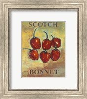 Scotch Bonnet Fine Art Print