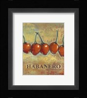 Habanero Framed Print