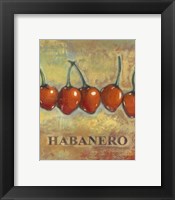 Habanero Fine Art Print