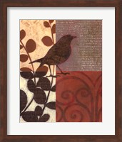 Damask Sparrow Fine Art Print