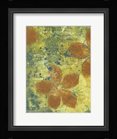 Euphoria II Framed Print