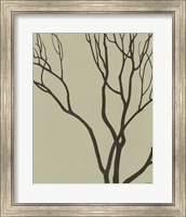 Bare Tree I Fine Art Print