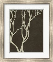 Bare Tree II Fine Art Print