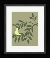 Are You Green II Framed Print