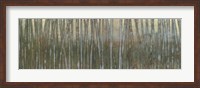 Blue Birch Forest I Fine Art Print