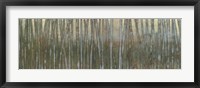 Blue Birch Forest I Fine Art Print