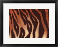 Tiger I Fine Art Print
