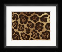 Spots II Framed Print