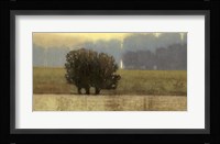 Villa Park I Framed Print