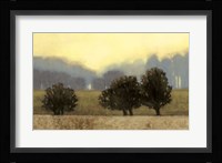 Villa Park II Framed Print