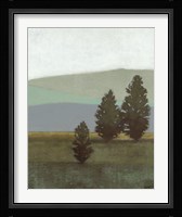 Evergreen II Framed Print