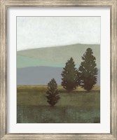 Evergreen II Fine Art Print
