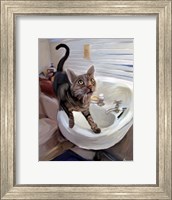 Gray Tiger Cat on the Sink Fine Art Print