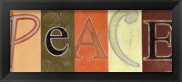Peace Panel Framed Print