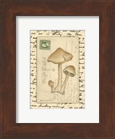 Mushrooms I Fine Art Print