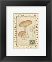 Mushrooms II Fine Art Print