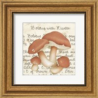 Boletus Fine Art Print