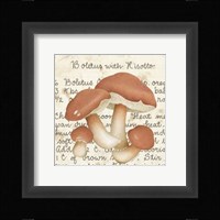 Boletus Fine Art Print