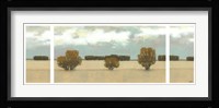 Panoramic Scent of Rain Fine Art Print