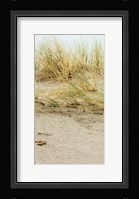 Dunes I Fine Art Print
